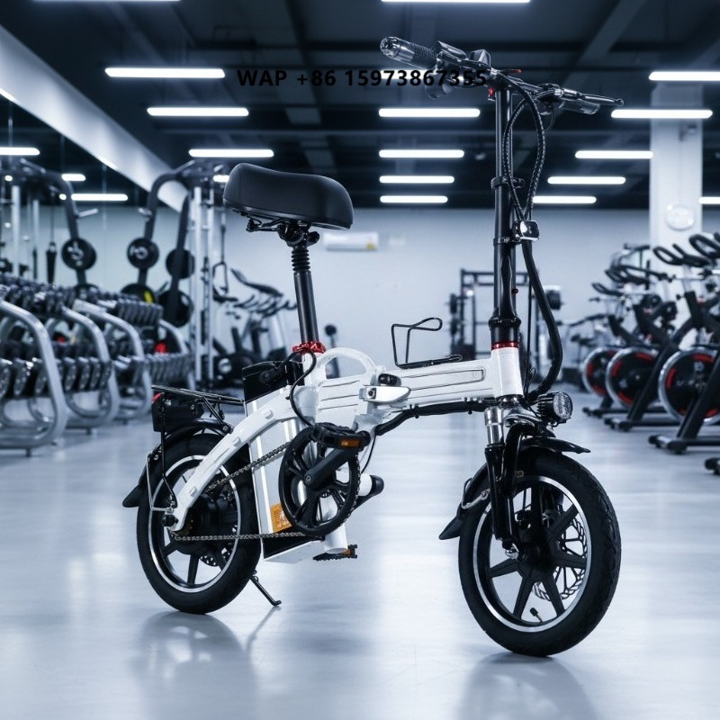 Mini Folding Electric Bike Fac - Commuter Biking recension och pris