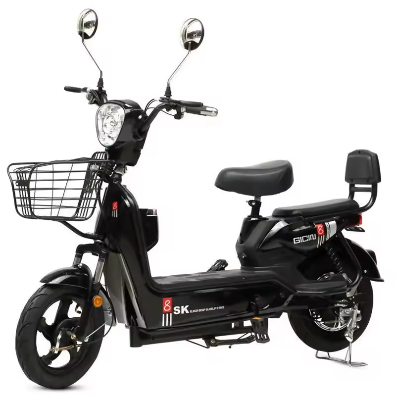 Best Price Electric City Bike  - Cycling In City recension och pris