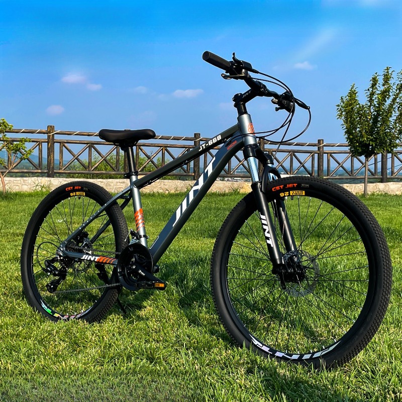 Wholesale Aluminum Alloy 26 In - Commuter Biking recension och pris