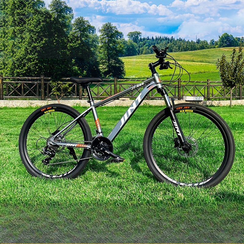 Wholesale Aluminum Alloy 26 In - Commuter Biking recension och pris